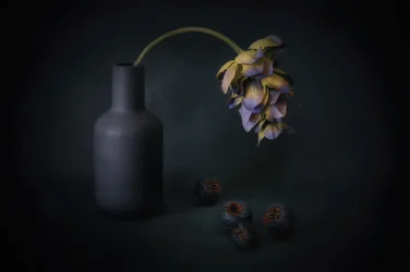 Flor sombreada e bagas