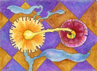Formas vibrantes e caprichosas