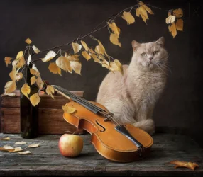 O Gato do Outono e o Violino