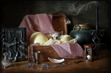 O Baú do Tesouro do Gatinho Místico