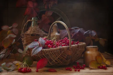Natureza morta com ramos e bagas de viburnum escarlate no outono, em estilo vintage.
