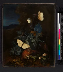 Natureza-morta com um cardo, boletos, caracol, lagarto, borboletas e uma abelha numa paisagem (óleo sobre tela)