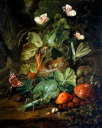 Natureza-morta de chão de floresta com frutos e borboletas