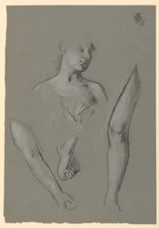 detalhes de estudos de figuras