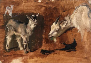 Cabras.