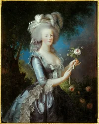 Retrato rosa de Maria Antonieta de Lorraine Habsburg