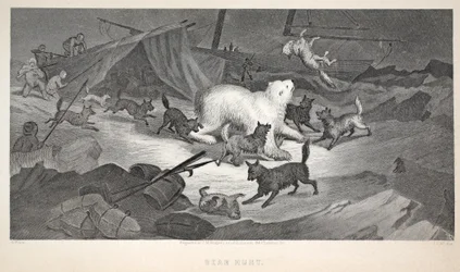 Caça ao urso, ilustração de "A segunda expedição Grinnell em busca de Sir John Franklin ...", 1856