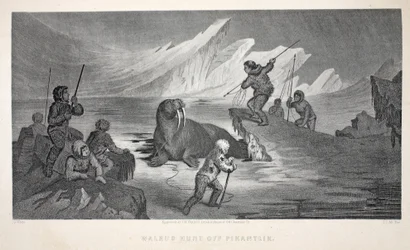 Morsa Hunt off Pikantlik, ilustração de &39;A segunda expedição de Grinnell em busca de Sir John Franklin ...&39;, 1856