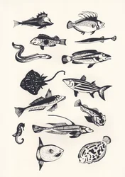 Peixe Comum Monótono, 2015 (papel de parede)