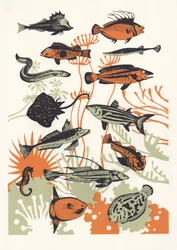 Orange Seaweed Fish, 2015 (papel de parede)