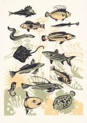 Peixe Algas Marinhas de Pêssego, 2015 (serigrafia)