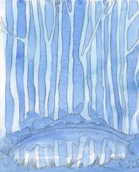 Um poço profundo em uma clareira na floresta é como o mistério da Divindade. É insondável, mas ainda podemos &39;entrar&39; e conhecer a Deus mais profundamente pelo estudo e oração, pelo conhecimento e amor, 2003 (w - c on pape