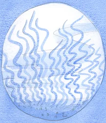 No início da jornada espiritual, a alma se assemelha àquela parte do fundo do oceano que é tornada &39;intransponível&39; por ervas daninhas, 2002 (w - c no papel)