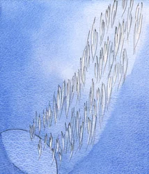 Entre o globo escuro desta terra e a glória do Céu, estendia-se um &39;fluxo&39; de guardiões Anjos brilhantes, como um rio de luz, 2002 (w - c no papel)