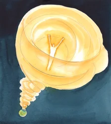 Do 