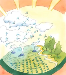 Deus ama, como Sua Criação, todo o mundo natural: oceanos brilhantes se unindo à vida, com trombas d&39;água de baleias e ondas brilhando à luz do sol, como cardumes de peixes circulando debaixo d&39;água, 2002 (c -