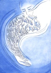 Aos olhos de Deus, os bebês que morrem - antes ou depois do nascimento - são como estrelas cadentes que brilham brevemente e depois caem do céu, 2002 (w - c no papel)
