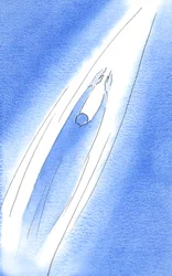 Na oração, podemos voar como uma flecha em direção a Deus, 2002 (w - c no papel)