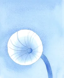 Os alimentos que Deus põe à nossa disposição devem ser vistos como combustível para a nossa viagem na terra, 2005 (aguarela sobre papel)