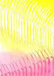 The heavenly host, 2001 (w - c no papel)