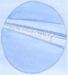 O mais simples fragmento de vontade própria faz com que a união da alma com Deus seja enfraquecida, como quando pranchas são coladas e separadas, 2002 (w - c no papel)