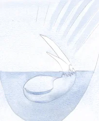 A semente da alma foi amolecendo no silêncio e na escuridão, para que um dia pudesse surgir um rebento., 2001 (w - c no papel)
