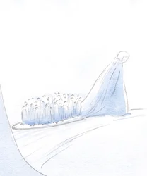 A alma que ama a Cristo atrai outras na sua esteira, no cumprimento da sua missão, no sacerdócio baptismal de todos os que amam e obedecem a Cristo., 2001 (w - c no papel)