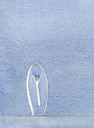 Sempre que um padre católico oferece o Santo Sacrifício da Missa, está Jesus Cristo, Presente com Seu Povo, 2000 (w - c no papel)