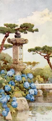 Um arbusto de hortênsia (litografia a cores)