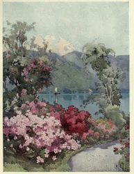 Azaleas, Lago di Como, Ilustração de 
