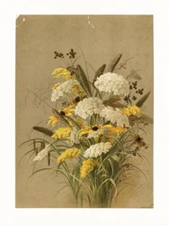 Cicuta, ervas-olho-de-boi e vara-de-ouro