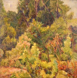 Jardim perto de uma madeira