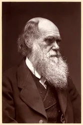 Charles Darwin: naturalista inglês