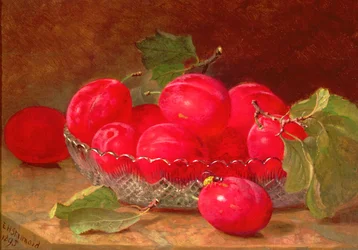 Ainda vida, 1895