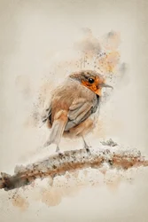 Pintassilgo em aquarela suave