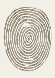 Anéis de árvores orgânicos