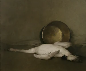 O Cisne Selvagem, 1902