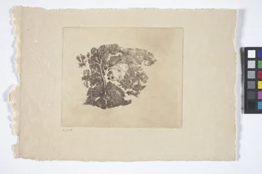 Estudo das árvores (tinta)