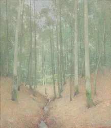 Interior de madeira