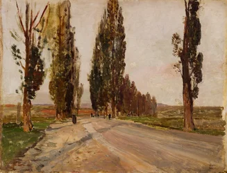 Poplar avenue perto de Plankenberg