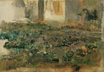 Campo de nabos, c.1888 (óleo sobre tela)