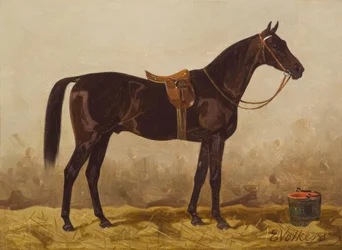 E. Volkers, cavalo preto selado