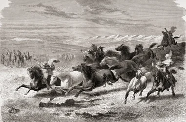 Gaúchos argentinos arrebanhando cavalos selvagens, ilustração de "O mundo nas mãos", gravada por Charles Laplante (d.1903), publicada em 1878