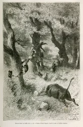 Deroute da expedição em frente à carga de um búfalo, desenho de Emile Bayard, para ilustrar a história: Por toda a África, de Zanzibar (Tanzânia) a Benguela (Angola), de 1872 a 1876, pelo Tenente V.H.Cameron. Gravura em Le tour du monde
