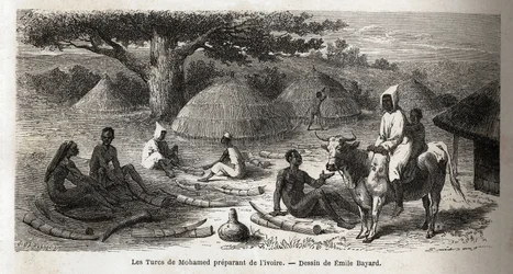 Preparação de marfim, para um comerciante turco, Uganda, desenho de Emile Bayard (1837-1891), ilustrando a viagem de descoberta do Capitão Speke na África de 1860 a 1863. Gravura em "Le tour du monde", editado por Edouard Charton