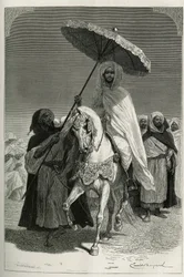 Sultão Hassan I de Marrocos (ne Moulay El Hassan)