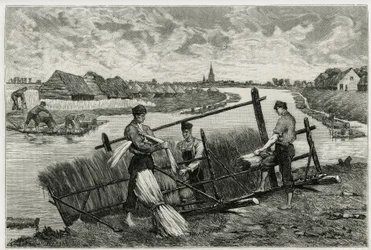 A ferrugem do linho (maceração para facilitar a separação da casca do caule) nos Lys (rio ao norte da França e da Bélgica). Gravação de Emile Claus, para ilustrar a história "La Belgique", de Camille Lemonnier (1844-1913), escritor e crítico de arte.