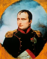 O Imperador Napoleão I, 1815.