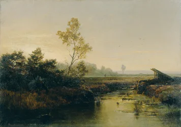 Paisagem de charneca