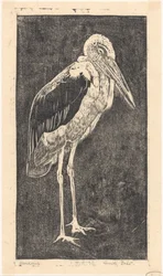 Maraboe